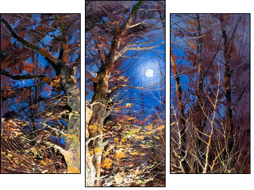 Night wood  - Obraz trzyczęściowy, Tryptyk