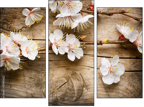 Kwiaty drzewa owocowego – zapach wiosny
 - Obraz trzyczęściowy, Tryptyk