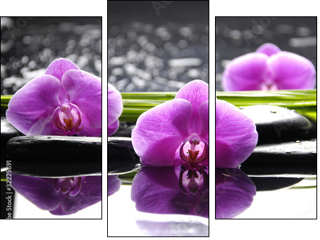 Spa still life with set of pink orchid and stones reflection  - Obraz trzyczęściowy, Tryptyk
