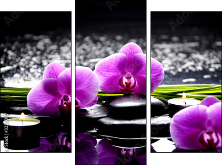Spa still life with set of pink orchid and stones reflection  - Obraz trzyczęściowy, Tryptyk