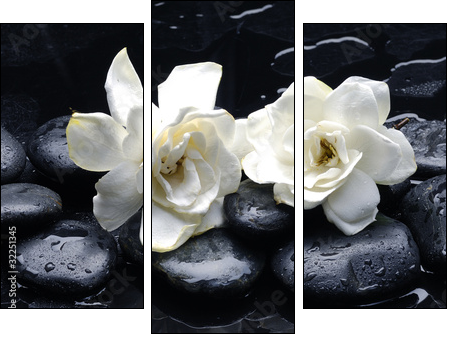 Spa still life with gardenia flower on pebble  - Obraz trzyczęściowy, Tryptyk