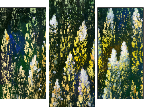 Wild flowers  - Obraz trzyczęściowy, Tryptyk