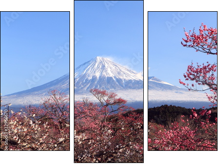 Mt. Fuji with Japanese Plum Blossoms  - Obraz trzyczęściowy, Tryptyk