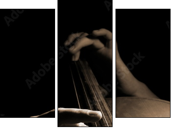 Musician playing contrabass  - Obraz trzyczęściowy, Tryptyk