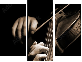 Musician playing violin isolated on black  - Obraz trzyczęściowy, Tryptyk
