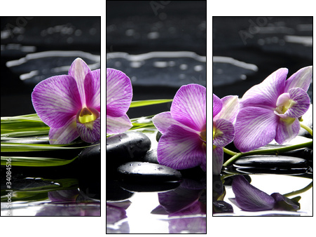 Pink orchid with bamboo leaf and stones with reflection  - Obraz trzyczęściowy, Tryptyk