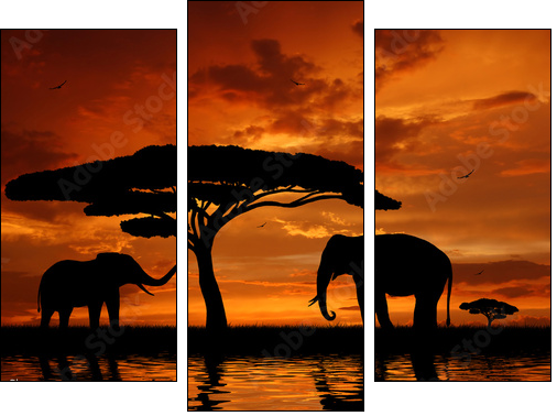 Silhouette two elephants in the sunset  - Obraz trzyczęściowy, Tryptyk