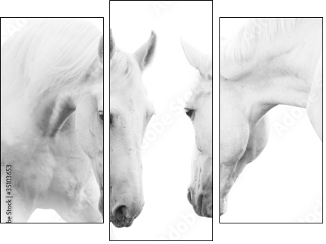 white horses  - Obraz trzyczęściowy, Tryptyk
