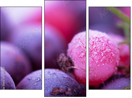 Mroźna dusza słodkich jagód - Obraz trzyczęściowy, Tryptyk
