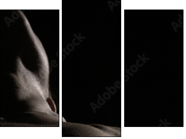 macro shot of nipple  - Obraz trzyczęściowy, Tryptyk