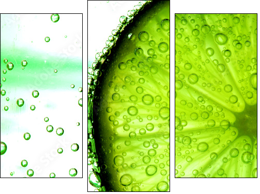 lime slice in water  - Obraz trzyczęściowy, Tryptyk