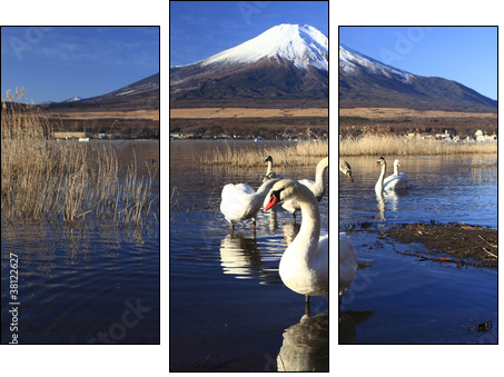 Mt. Fuji and Swans  - Obraz trzyczęściowy, Tryptyk