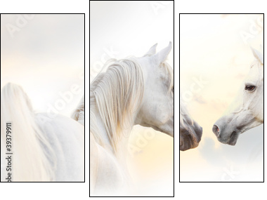 white horses  - Obraz trzyczęściowy, Tryptyk