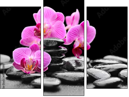 orchid  - Obraz trzyczęściowy, Tryptyk