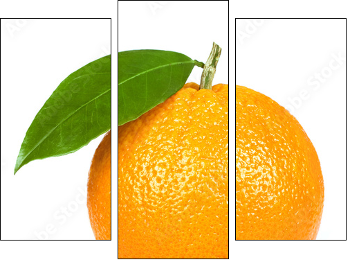 Pomarańcza jak z żurnala wyjęta  - Obraz trzyczęściowy, Tryptyk