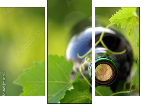 Wino dojrzewające na pnączu  - Obraz trzyczęściowy, Tryptyk