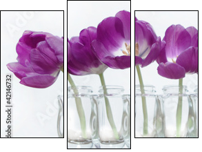 Tulpen  - Obraz trzyczęściowy, Tryptyk