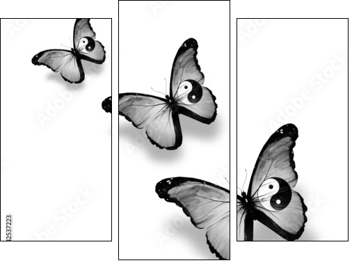 Three dao flag butterflies, isolated on white  - Obraz trzyczęściowy, Tryptyk