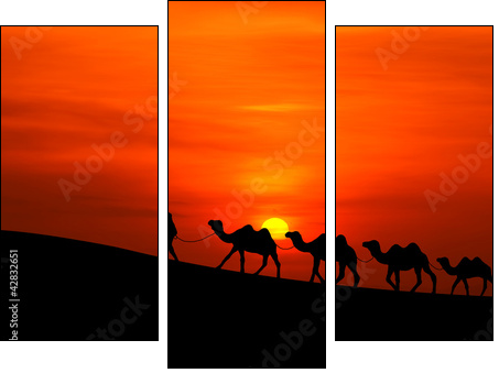 camel caravan sillhouette with sunset  - Obraz trzyczęściowy, Tryptyk