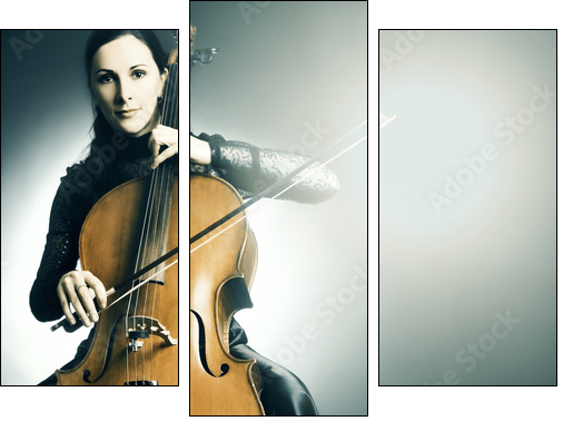 Cello musical instrument musician cellist playing  - Obraz trzyczęściowy, Tryptyk