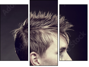 Men's hairstyle  - Obraz trzyczęściowy, Tryptyk