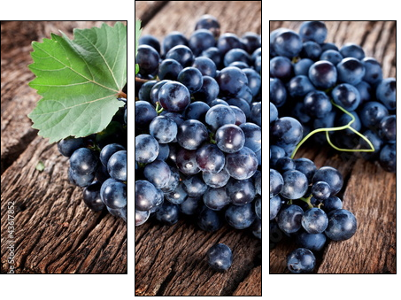 Grapes  - Obraz trzyczęściowy, Tryptyk