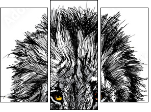 Sketch of a big male African lion  - Obraz trzyczęściowy, Tryptyk