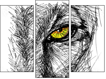 Hand drawn Sketch of a lion looking intently at the camera  - Obraz trzyczęściowy, Tryptyk