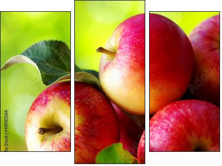 To nie jest jabłko Śnieżki - Obraz trzyczęściowy, Tryptyk