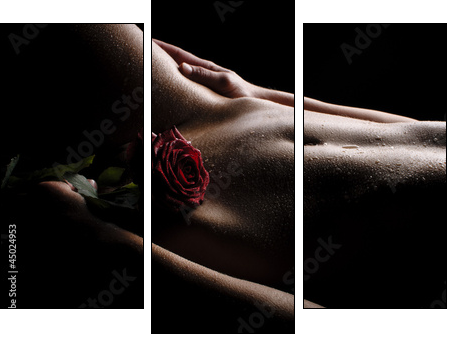 Nackter Bauch mit Rose  - Obraz trzyczęściowy, Tryptyk