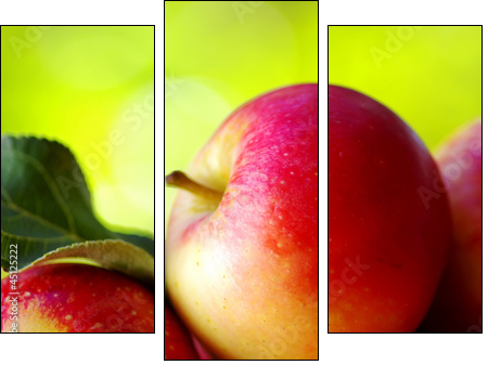 Aksamitna słodycz - dojrzałe jabłka - Obraz trzyczęściowy, Tryptyk