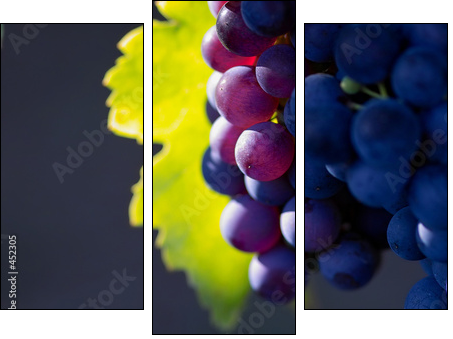 Dojrzewające wino – zoom na winnice
 - Obraz trzyczęściowy, Tryptyk