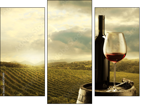 Vineyard at sunset  - Obraz trzyczęściowy, Tryptyk