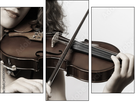 Violin musical instrument violinist hand  - Obraz trzyczęściowy, Tryptyk