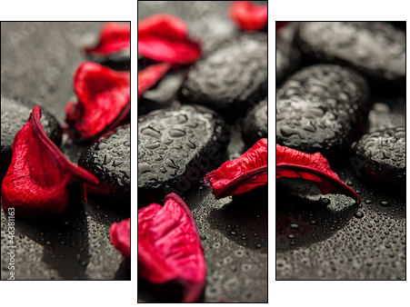 background spa. black stones and red petals with water droplets  - Obraz trzyczęściowy, Tryptyk