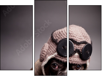 French bulldog puppy, in knit pilot helmet  - Obraz trzyczęściowy, Tryptyk