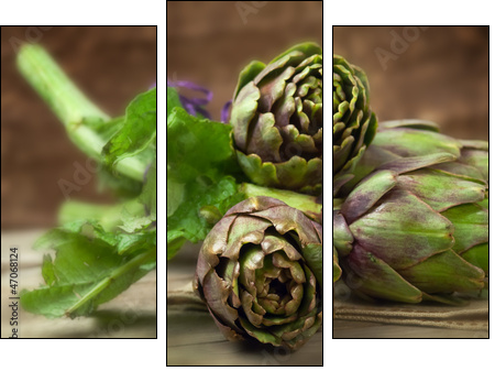 Carciofi - Artichokes  - Obraz trzyczęściowy, Tryptyk