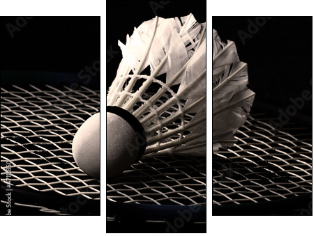 Shuttlecock on badminton racket  - Obraz trzyczęściowy, Tryptyk