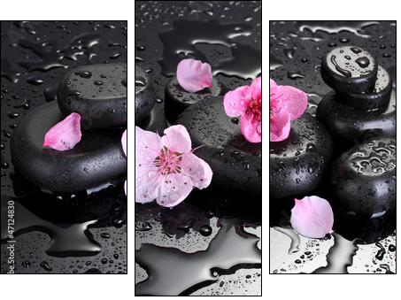 Spa stones with drops and pink sakura flowers  - Obraz trzyczęściowy, Tryptyk