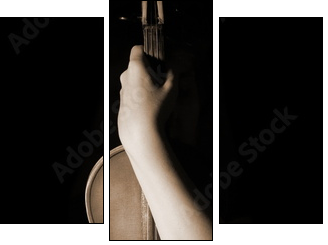 old violin  - Obraz trzyczęściowy, Tryptyk