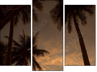 Palmowy hamak
 - Obraz trzyczęściowy, Tryptyk