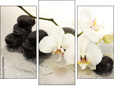 Spa stones and orchid flowers, isolated on white.  - Obraz trzyczęściowy, Tryptyk