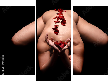 Roses  - Obraz trzyczęściowy, Tryptyk