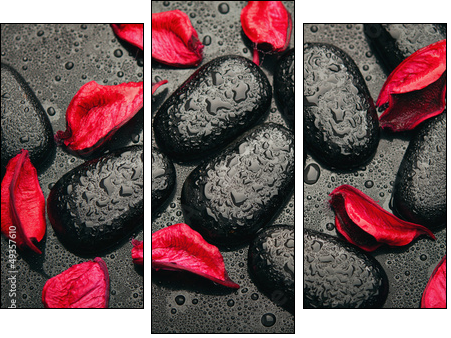background spa. black stones and red petals with water droplets  - Obraz trzyczęściowy, Tryptyk