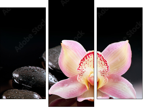 Zen Stones and Orchid Flower. Stone Massage  - Obraz trzyczęściowy, Tryptyk
