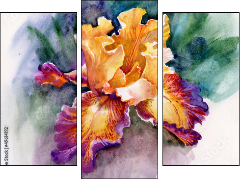 Yellow iris  - Obraz trzyczęściowy, Tryptyk