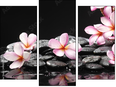 Set of frangipani with zen stones  - Obraz trzyczęściowy, Tryptyk