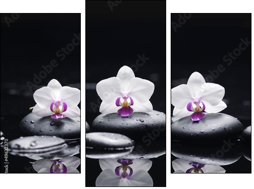 orchid flower and stones in water drops  - Obraz trzyczęściowy, Tryptyk