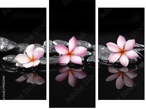 Set of three frangipani and black pebbles  - Obraz trzyczęściowy, Tryptyk