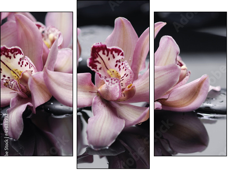 spa concept âgorgeous pink orchid and zen stones  - Obraz trzyczęściowy, Tryptyk